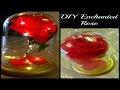 Diy enchanted rose  beauty and the beast inspired