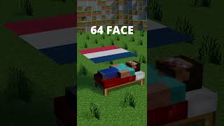Minecraft Blender Freance Flag Simulation