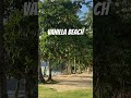 Vanilla beach El Nido Palawan