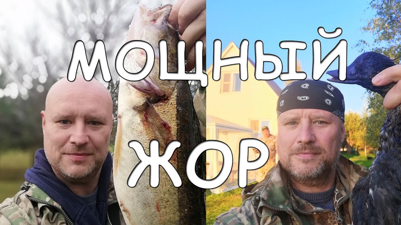 Утонули на волге сегодня