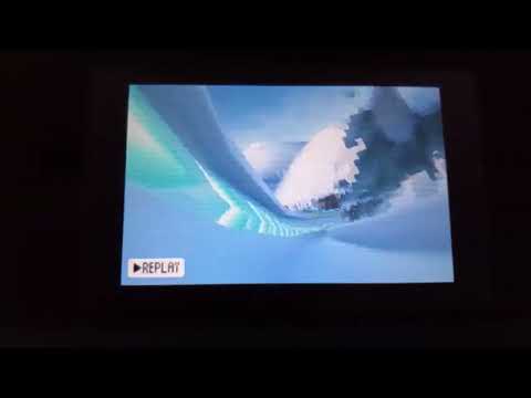 Mario And Sonic At The Olympic Winter Games DS Wario In Luge