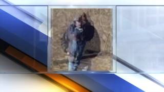 Famous Delphi Indiana: New audio could help solve Delphi killings Wealth