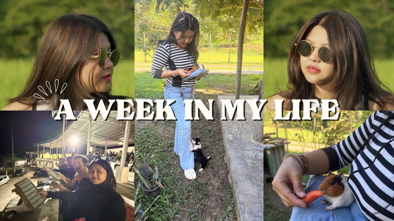 Съёмки музыкального клипа Димасы + Посещение фермы + Вечер дома + Еда и друзья | Еженедельный вид...