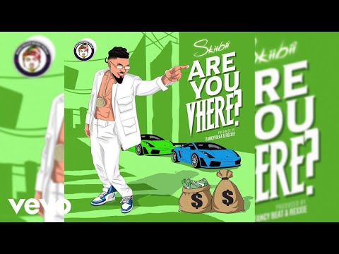 Skiibii - Are You Vhere (Official Audio)