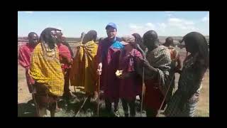 maasai dance