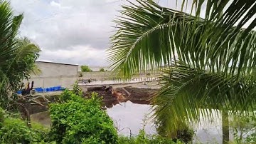 Nhà Đất Bán Đất Ruộng Dt 5 Mẫu Giá 150tr Công/1000m2 Mộc Hóa Long An