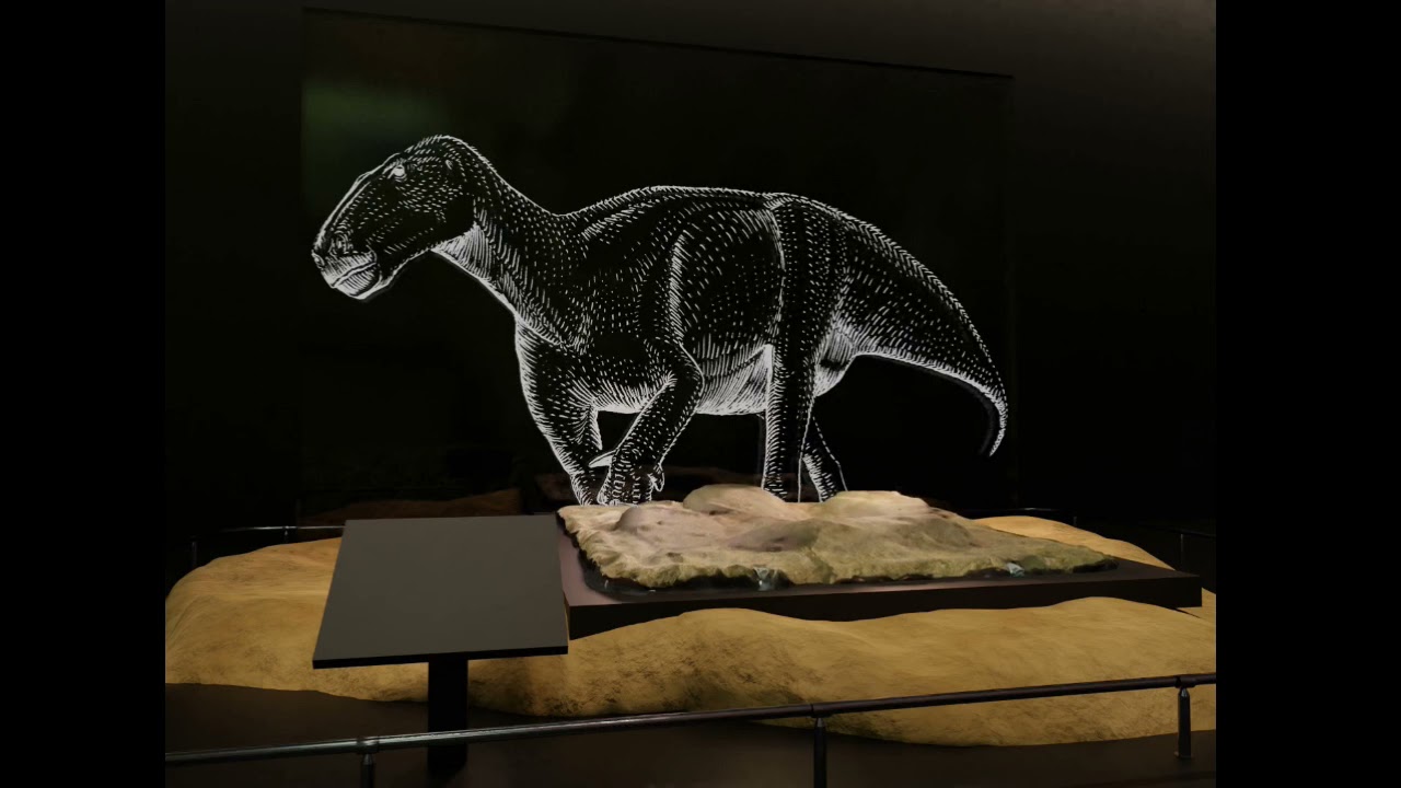 足跡化石コレクション～恐竜・ナウマンゾウ～ Fossil Footprints
