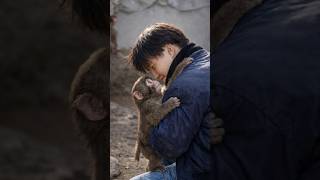 Panch The Monkey - The Tiny Monkey Who Captured the World's Heart #viralmonkey