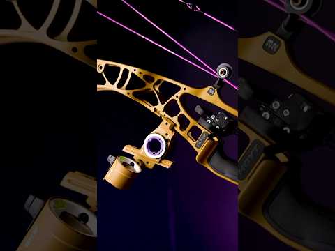 HOYT AX2 #archery #bowhunting #hoytarchery #bowhunting #mathewsarchery #hoyt