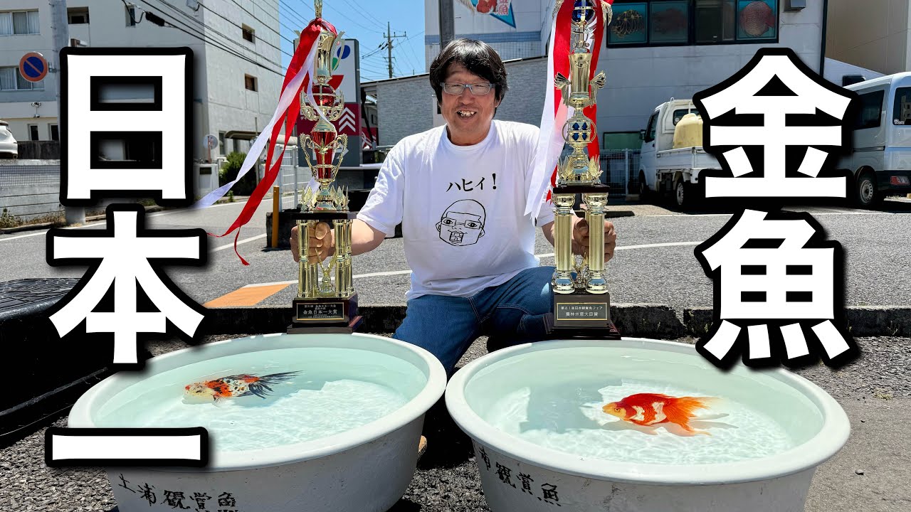 金魚一位　 Amazing Achievement] Two goldfish that consecutively became number