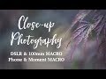 Close-ups with a Canon EF 100mm f/2.8L MACRO & Moment Macro Lens for Mobile Phone