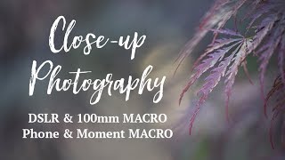 Close-ups with a Canon EF 100mm f/2.8L MACRO &amp; Moment Macro Lens for Mobile Phone