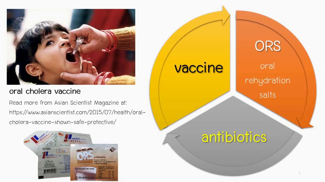อหิวาตกโรค (Cholera) 