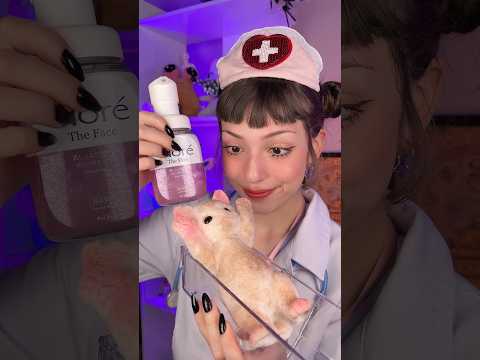 doutora drimi brinquedos salva o gatinho abandonado 😿🏥 #asmr #funny