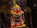 Kanha re kanha 🙏🙏🙏🙏🙏