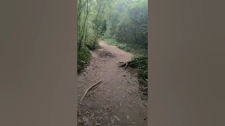 🌳🌳 - DayDayNews