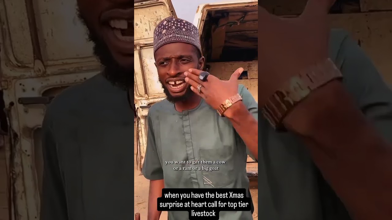 Cows for Sale in Abuja