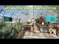 Fish Feed the Plants in our Greenhouse!