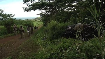 Legged Squad Support System (LS3)