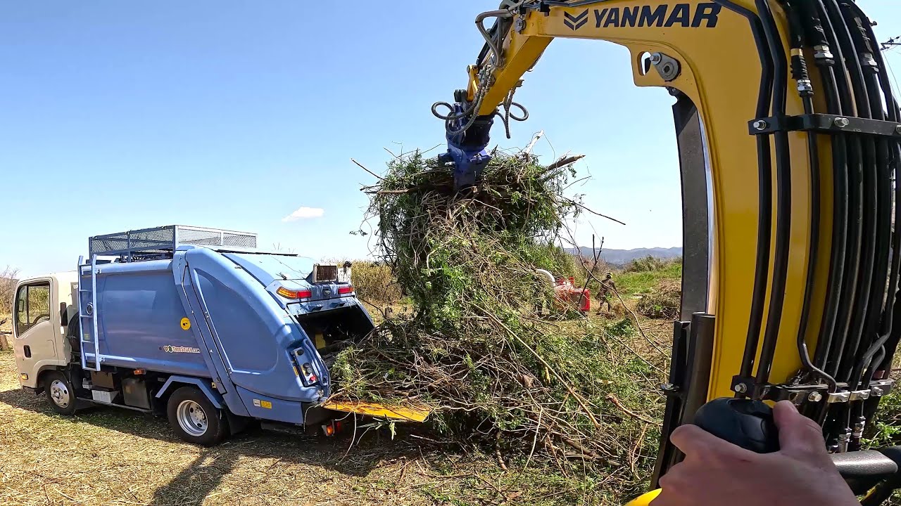 薔薇が進入を阻むジャングルをスッキリ開墾♪