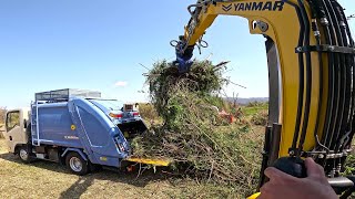 薔薇が進入を阻むジャングルをスッキリ開墾♪