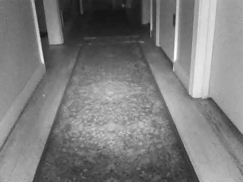 72918 Orb & Moth