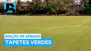Fazenda no interior de SP cultiva grama que é usada nos estádios mais modernos do futebol brasileiro
