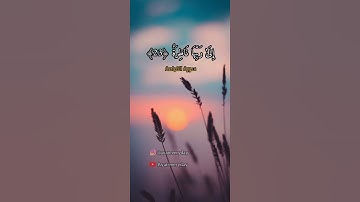 كلا بل تحبون العاجلة (20) وتذرون الآخرة (21) وجوه يومئذ ناضرة (22) إلى ربها ناظرة (23) سورةالقيامة