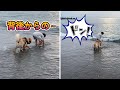 海へ散歩に行ったらコントみたいになりましたｗ
