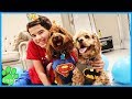 Cute Puppy Dog Birthday Party! / Logan The Adventure Dog