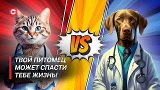 Кошки против собак: кто лучше? | Животные могут заменить врачей? | Советы для владельцев животных