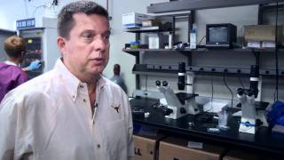 Teaching Future Biomedical Engineers
