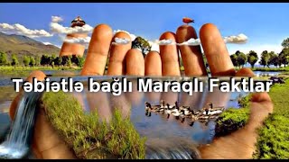 Təbiətlə Bağlı Maraqlı Faktlar