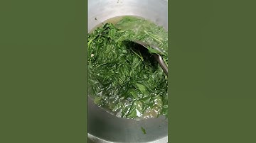 Thumbnail of Cara merebus daun singkong ala rumah makan padang