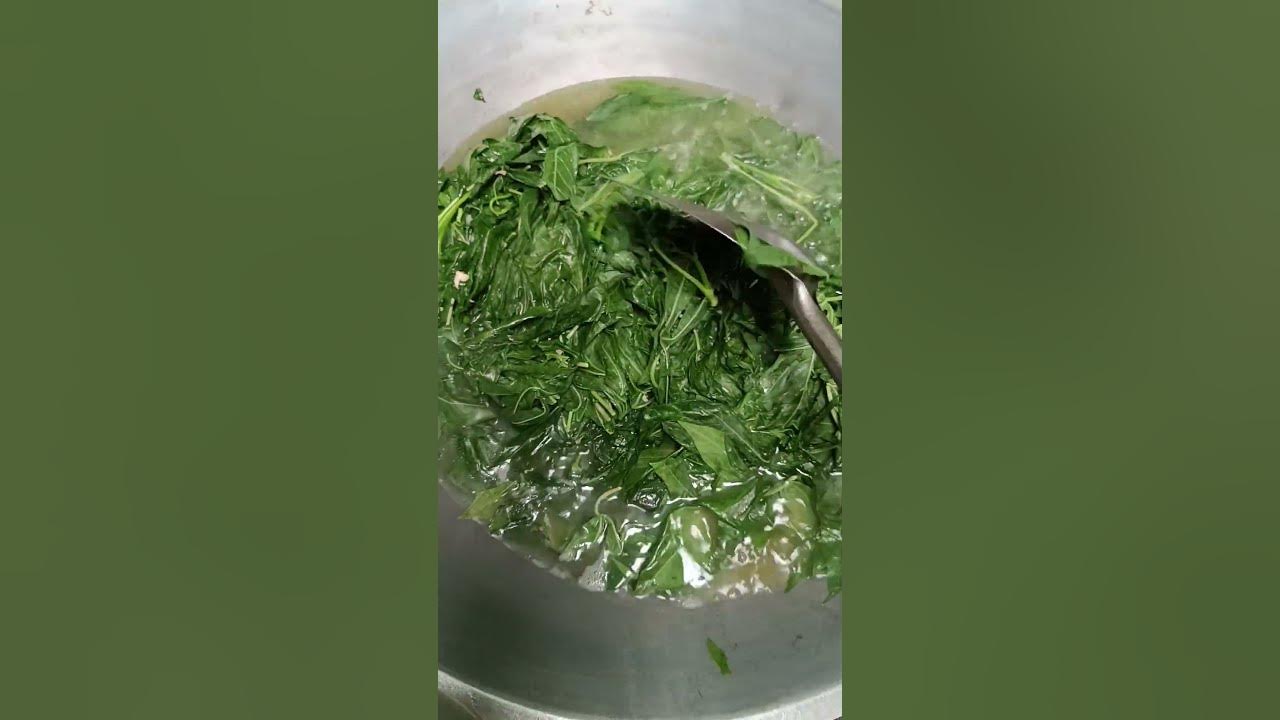 Cara merebus daun singkong ala rumah makan padang