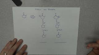 Alpha Carbon Alkylation Explained