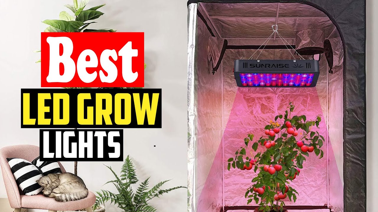 Top 10 Best LED Grow Lights in 2026 - YouTube