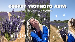 VLOG: Лавандовый рай в Сербии: почему это must-see летом?