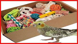 Colorful Parrot Foraging and Chewing Toy Box for Healthy, Happy Birds Colorful Parrot Foraging and Chewing Toy Box for Healthy, Happy Birds