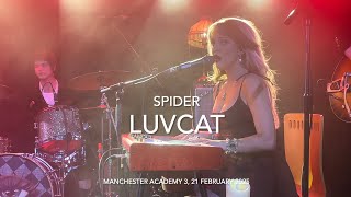 Luvcat - Spider - Live 4K Manchester Academy 3, 21 February 2025
