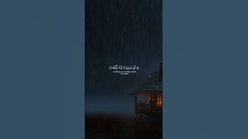 تلاوة خاشعة من الشيخ ياسر الدوسري #القرآن_الكريم  🎧😍
