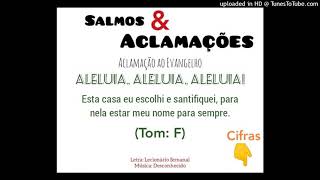 Vídeo de ALELUIA - ESTA CASA EU ESCOLHI E SANTIFIQUEI (Festa de Dedicação da Basílica de Latrão - Salmos e Aclamações)