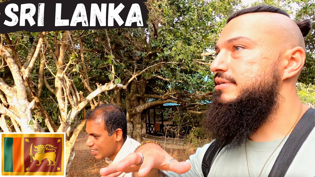 $200 Hotel With CROCODILES In Sri Lanka 🇱🇰