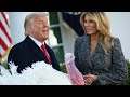 Donald Trump 'pardons' White House Thanksgiving turkey