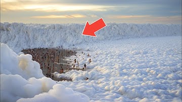 "70 meest ongelooflijke natuurmomenten ooit vastgelegd op camera"