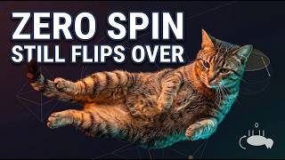 The Falling Cat Problem That Confused Physicists for Years