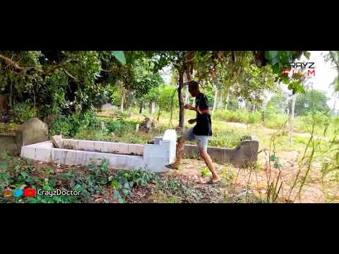 CREZOO MAKABULINI CONNECTED SUCCESSFULLY