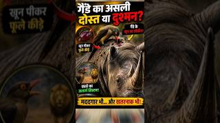 गैंडे का दोस्त या दुश्मन? ऑक्सपेकर पक्षी का चौंकाने वाला सच! 😱🦏 #shorts #animals