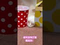二公主摩卡醬的成長記錄 #cat #cute #可愛い #蘇格蘭摺耳貓