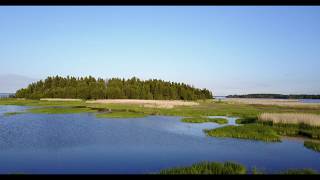 Haldi Saar. Pärispea Poolsaar